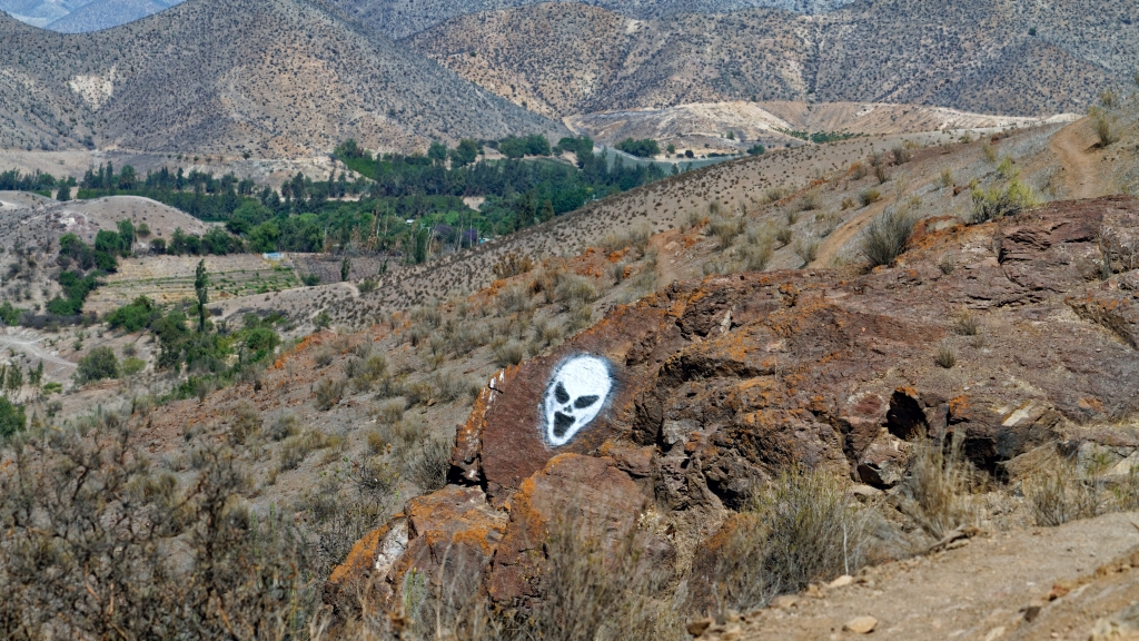 03 - La Serena (24) - Vicuña.jpg